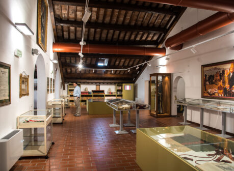 lendinara_biblioteca_comunale_gaetano_baccari