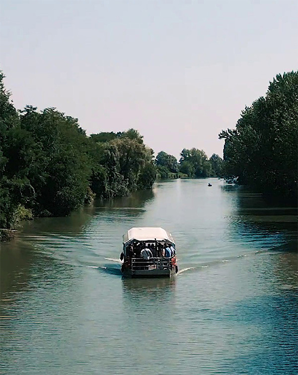 rovigo_terre_demozione